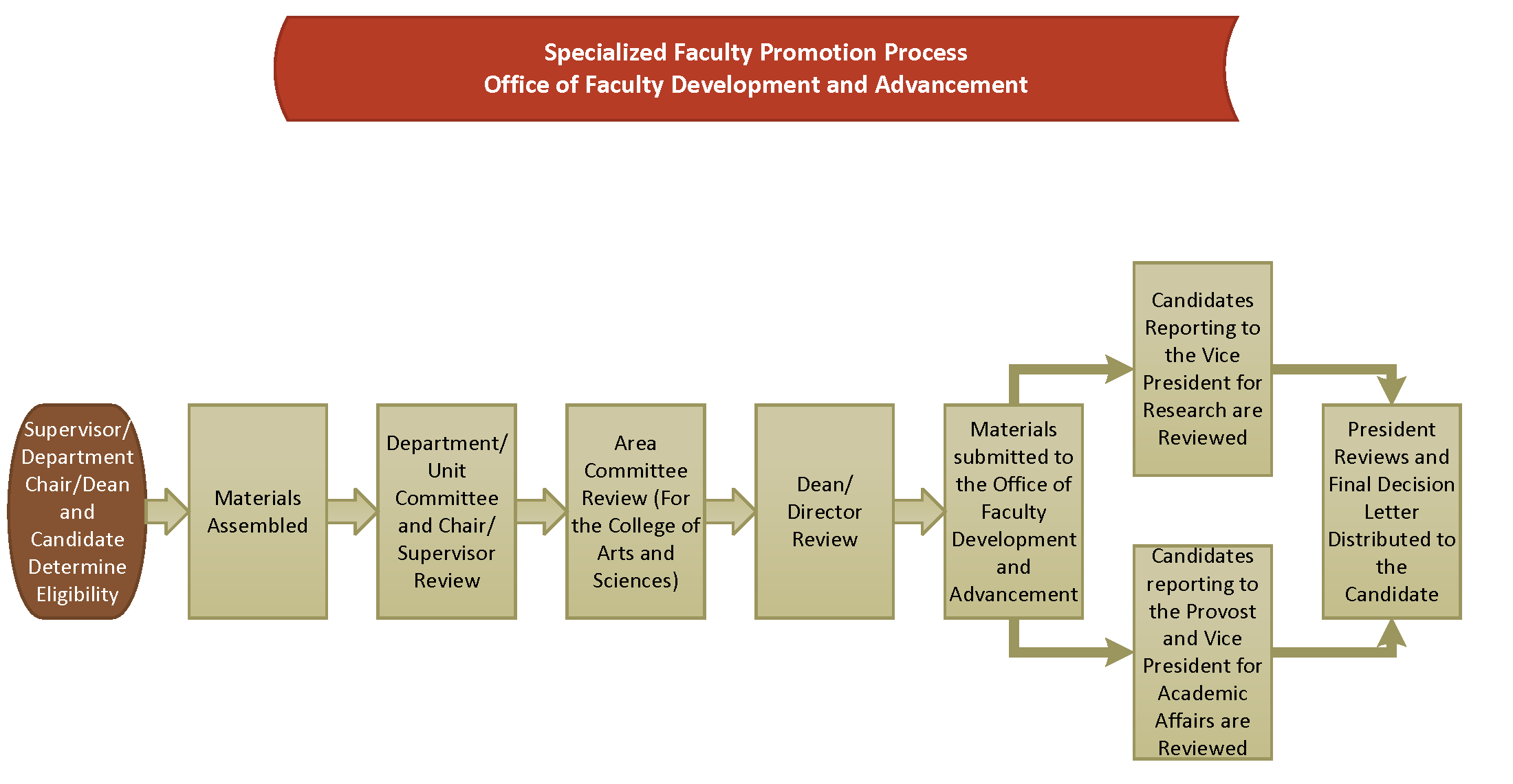 specialized faculty promotion flowchart
