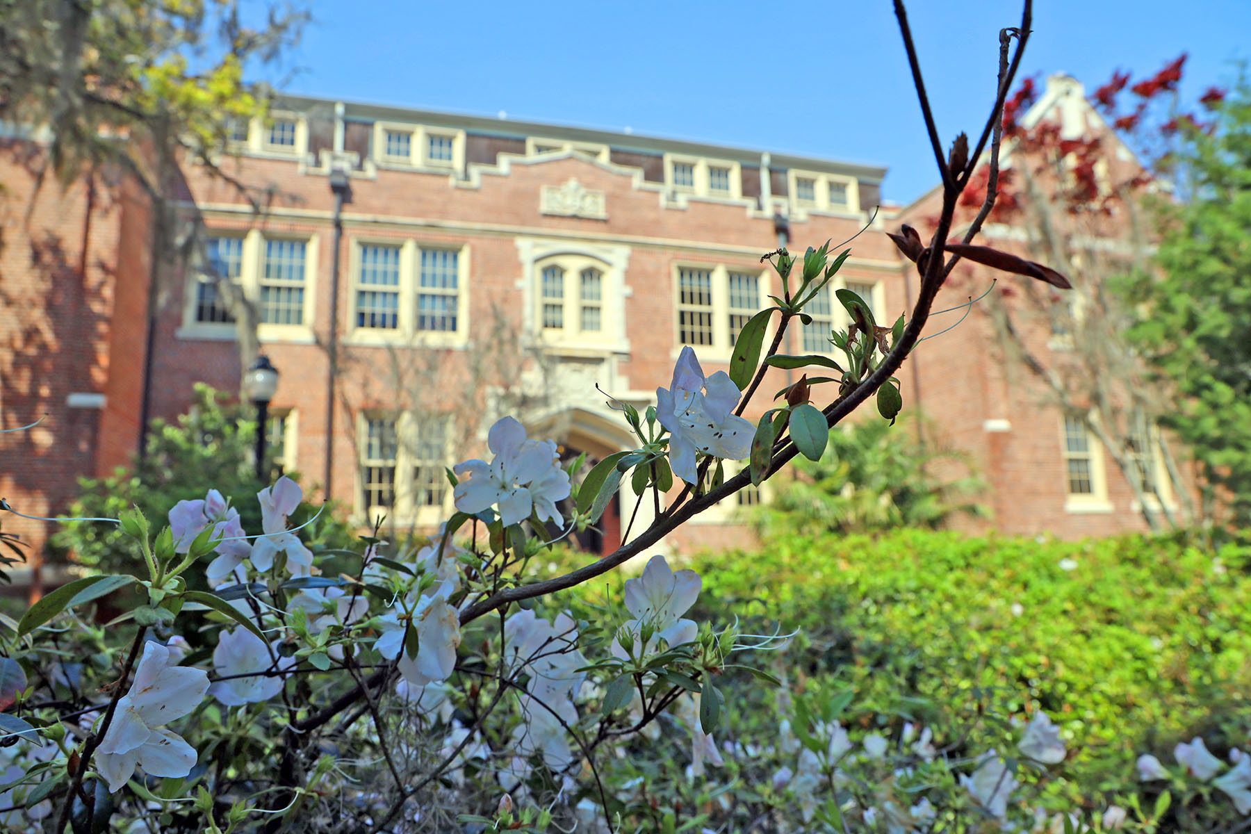 image of a campus building