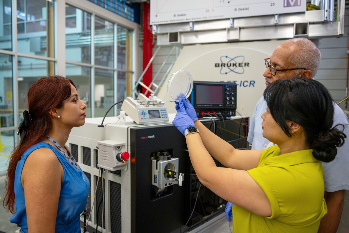 scientists at the MAGLAB